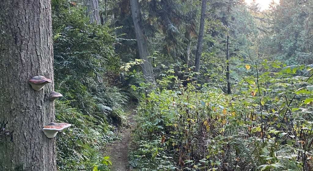 More Community, Please