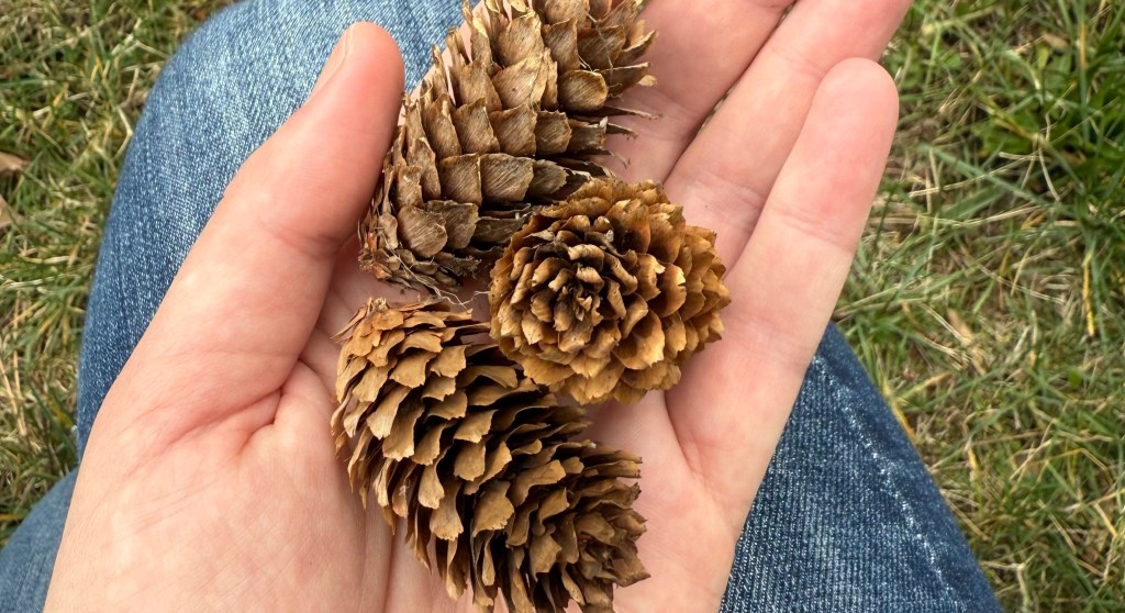 A Little More&nbsp;Sweet