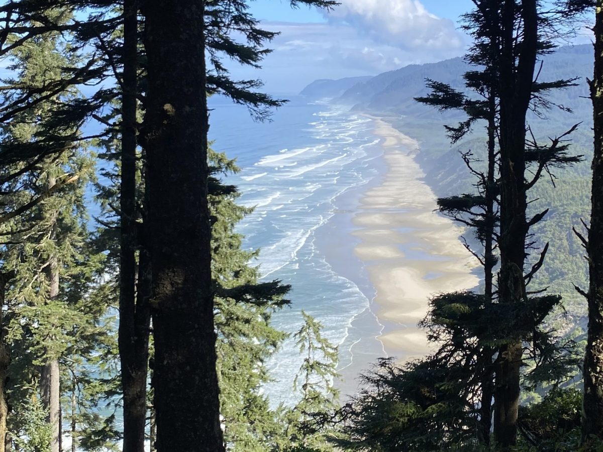 Connecting to What We Stand For&nbsp;(1/3)