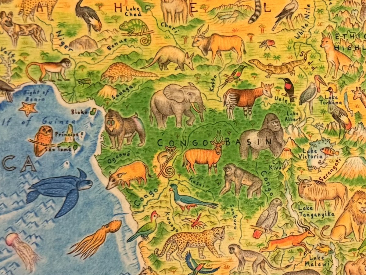 The Elephant in the Room&nbsp;(1/2)